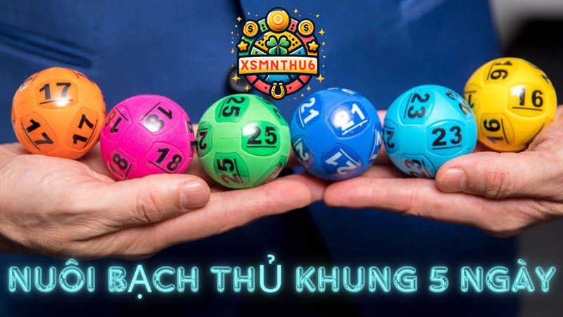 Nuôi lô bạch thủ khung 5 ngày